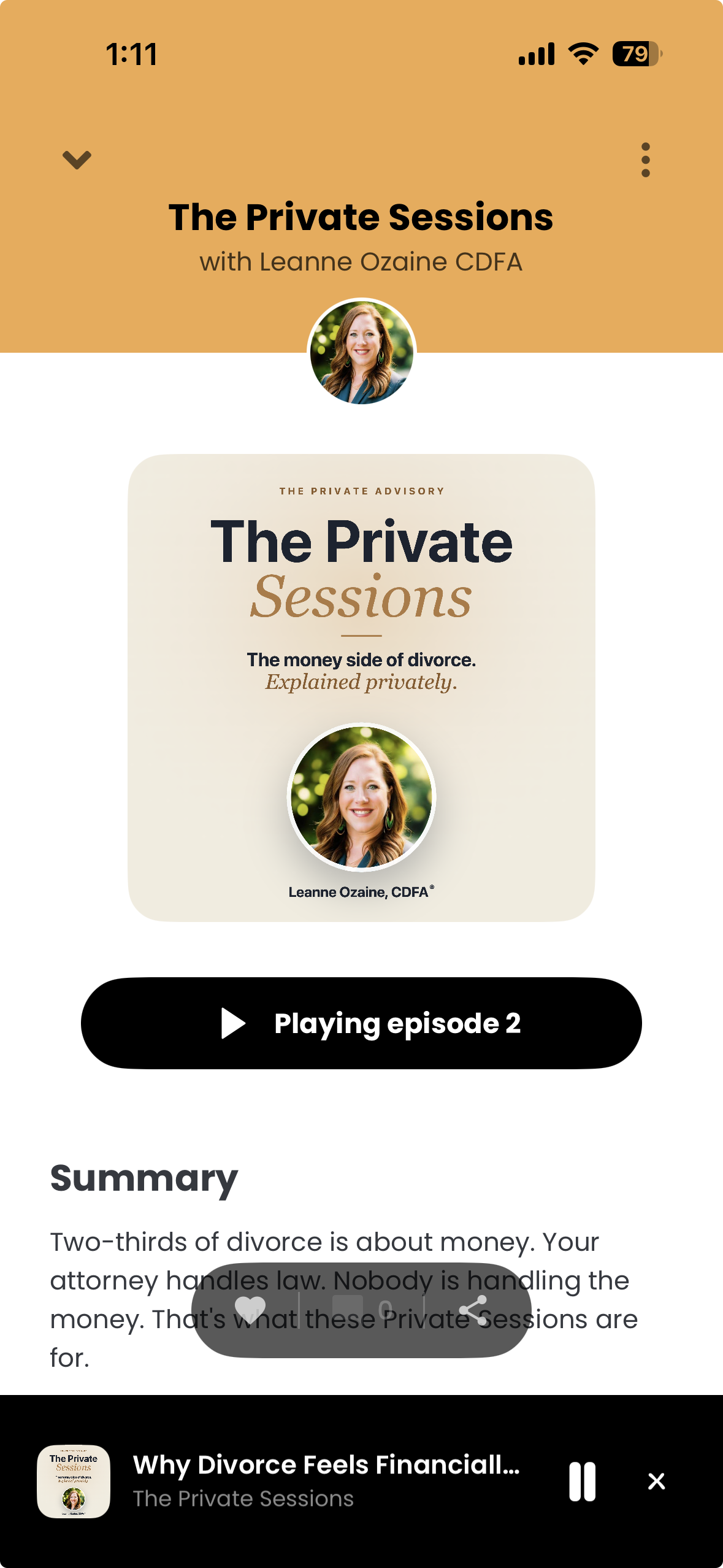 The Private Sessions playing in the Hiro app